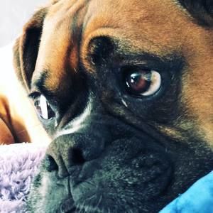 Meet your Posher, Adriana